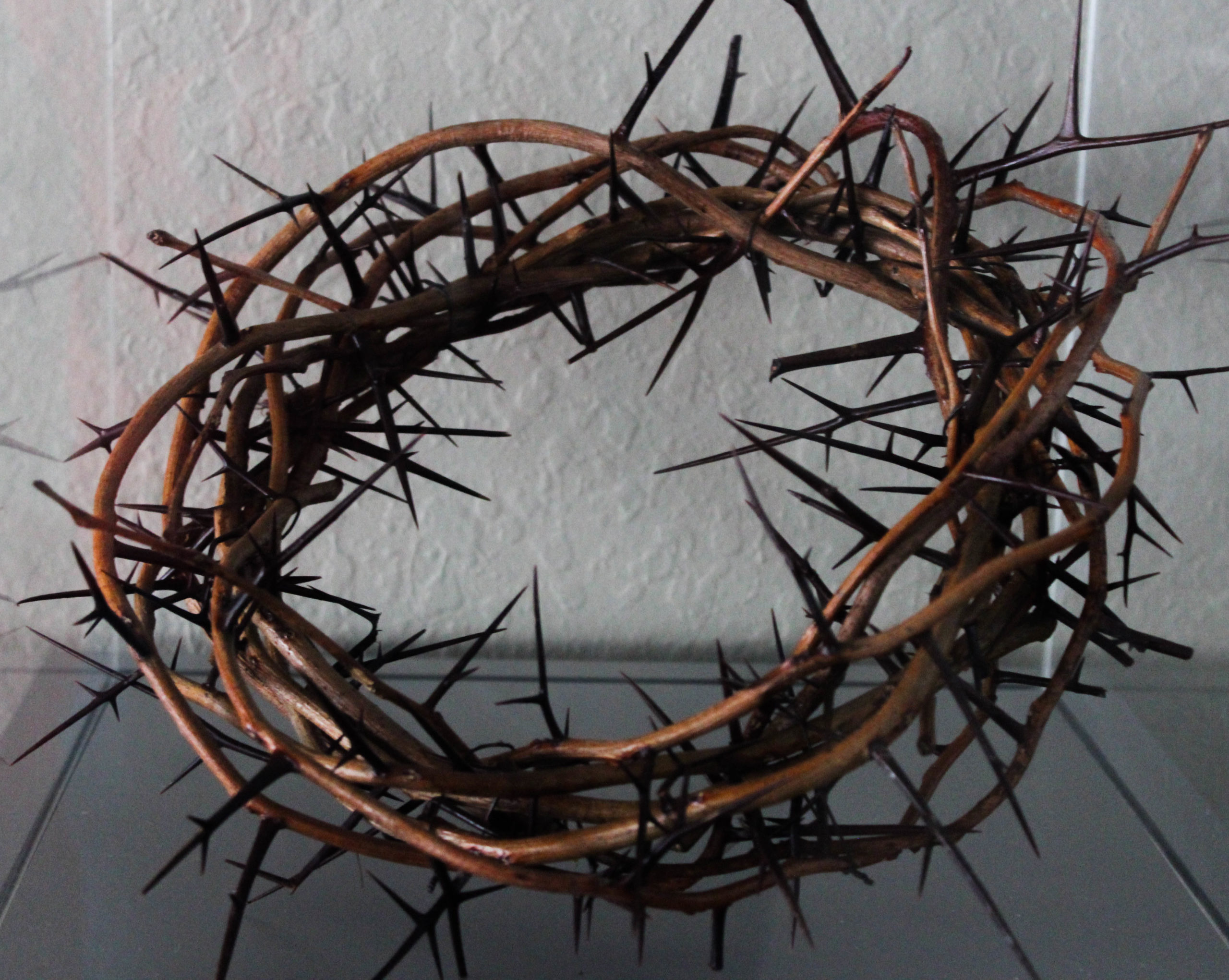 Crown of Thorns – The Potter's House Church